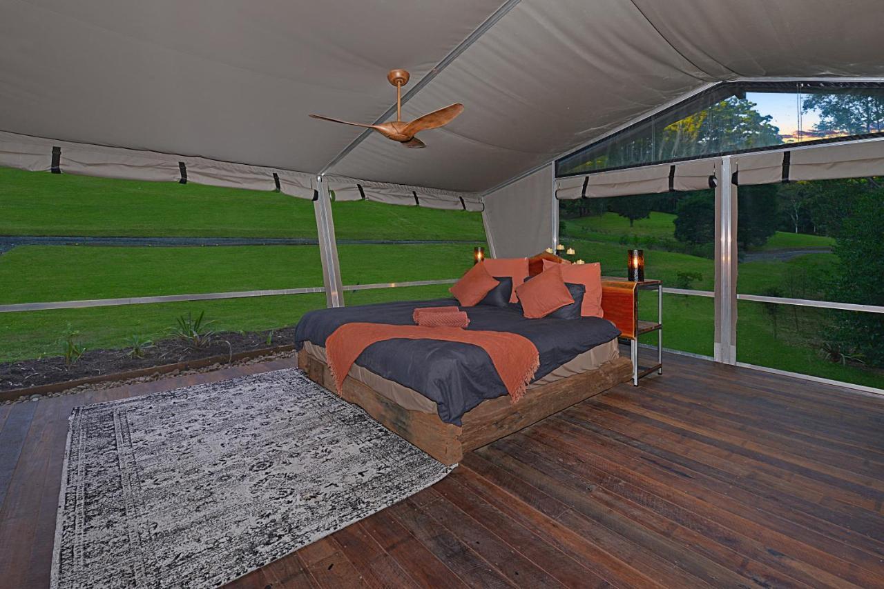 Starry Nights Luxury *